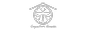 白 result